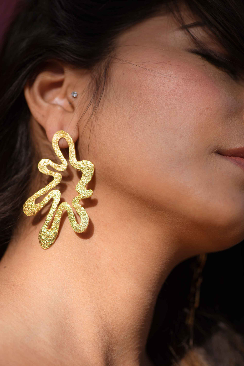 Shilpa Shetty - Burst Earrings