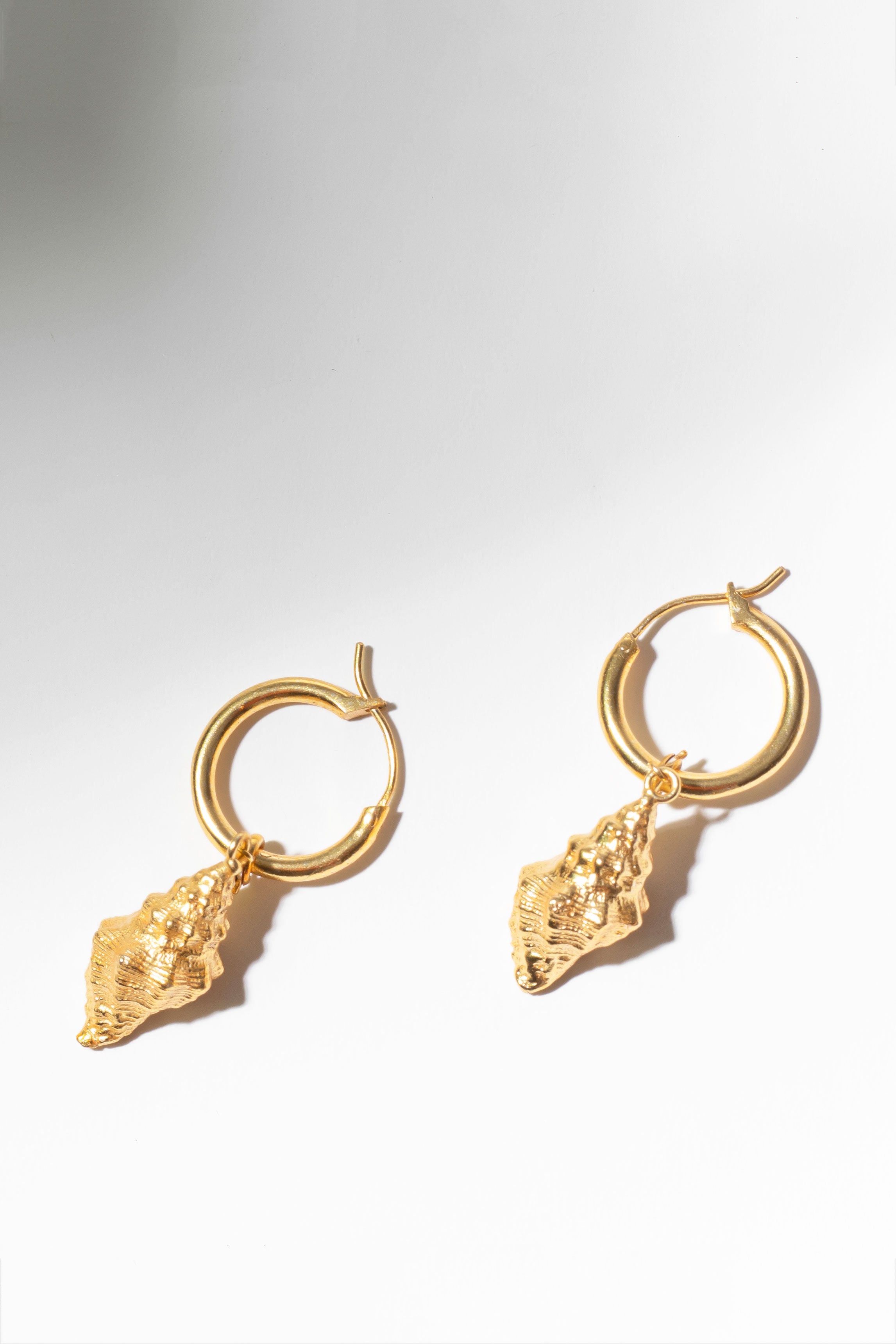 Interchangeable charm hoops