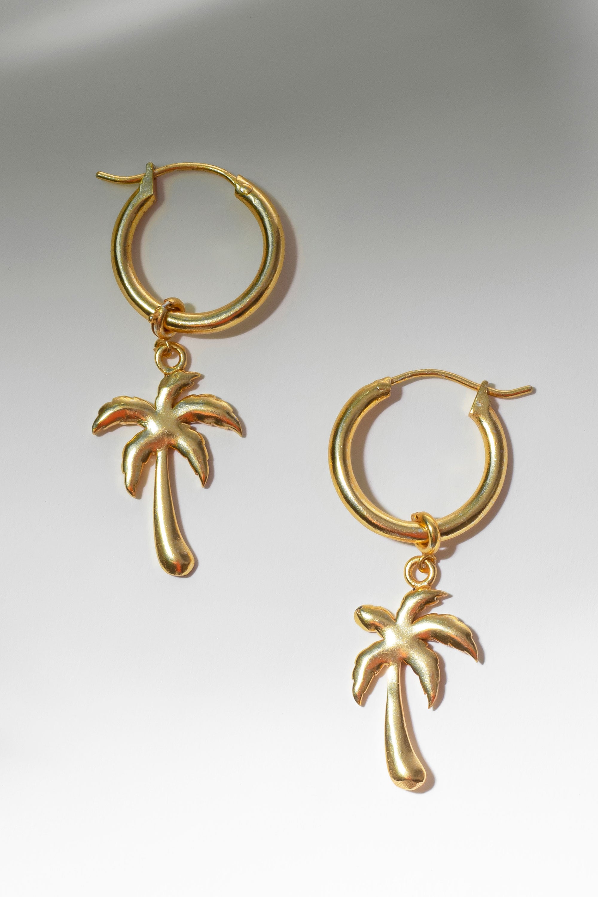 Interchangeable charm hoops